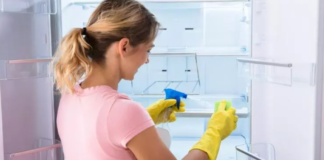 Buzdolabı nasıl temizlenir?