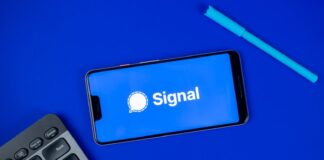 Signal’de artık kullanıcı adları kullanılabilecek