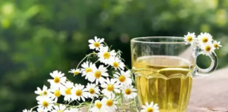 Hangi bitki çayı neye iyi gelir? Bitki çayı çeşitleri ve faydaları