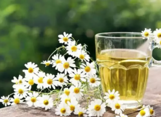 Hangi bitki çayı neye iyi gelir? Bitki çayı çeşitleri ve faydaları