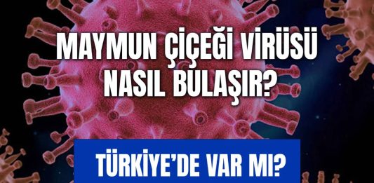 Maymun Çiçeği Virüsü