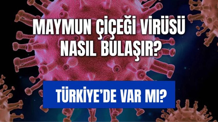 Maymun Çiçeği Virüsü