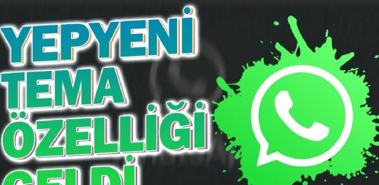 WhatsApp Kişiselleştirilebilir Tema Özelliği