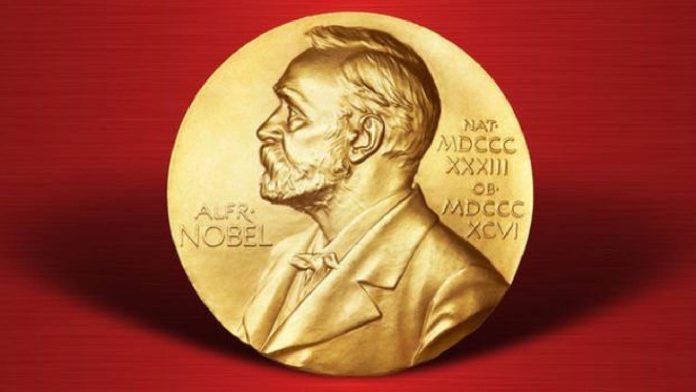 2024 Nobel Ekonomi Ödülü