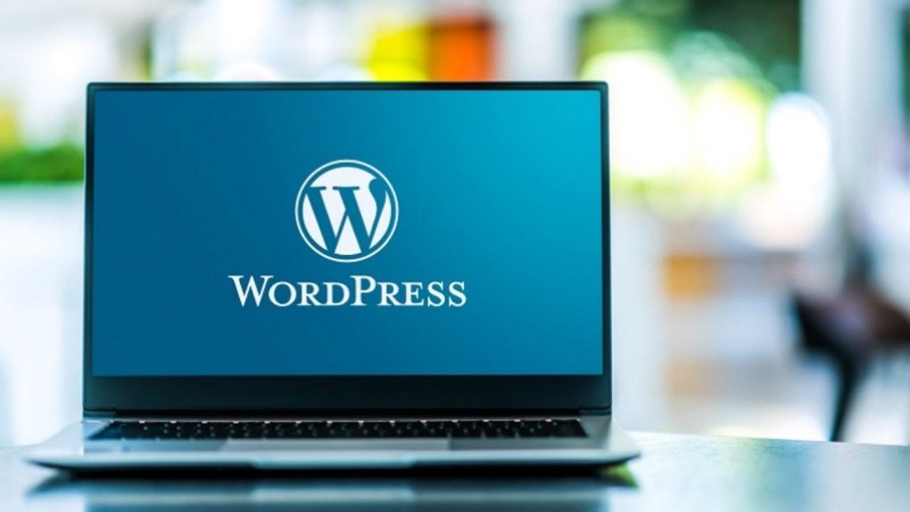 WordPress WP Engine çatışma istifa