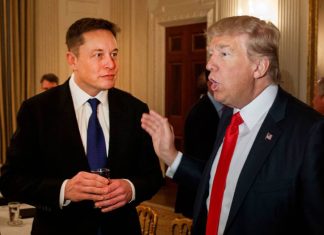 Elon Musk mutlu: Seçim sonrası Tesla hisseleri yükseldi! Elon Musk & Donald Trump