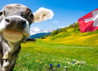 İsviçre’de QR kodlar üzerinden yayılan zararlı yazılım tespit edildi