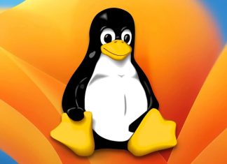2025 Linux dünyasına neler getirecek?