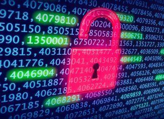 Postman çalışma alanlarındaki veri sızıntıları risk oluşturuyor