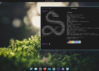 Serpent OS ile 2024’ün sonuna modern bir dokunuş