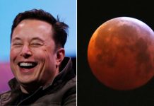 Elon Musk’tan çok konuşulan Mars iddiası