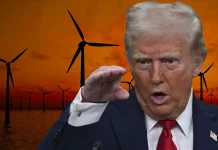 Trump rüzgar enerjisine savaş açıyor