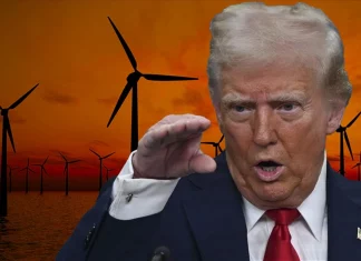 Trump rüzgar enerjisine savaş açıyor
