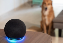 Alexa Plus Ses Tonları Artık Çok Daha Doğal ve Canlı Alexa Plus ses tonları