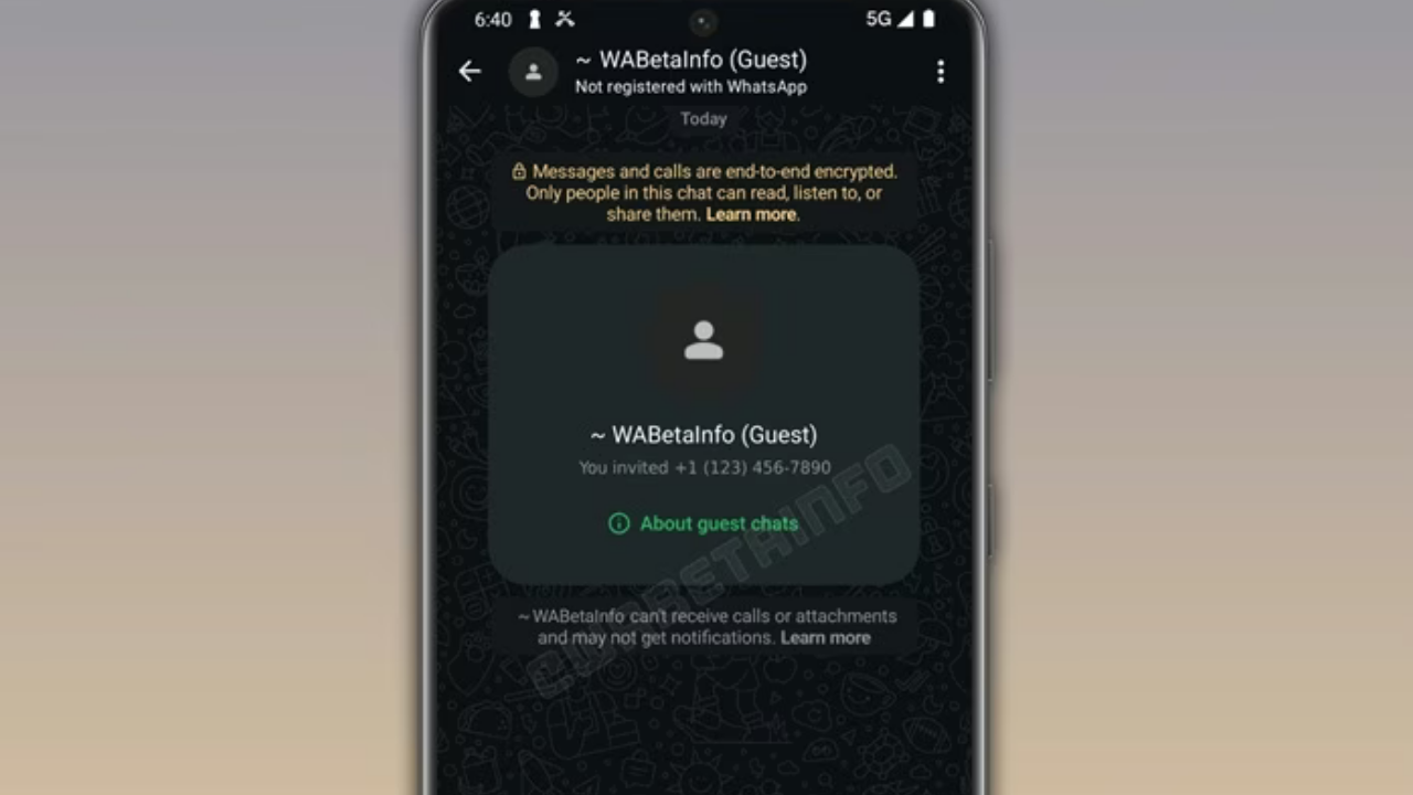 WhatsApp misafir sohbet