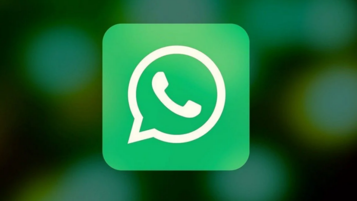 WhatsApp kullanıcı adı özelliği