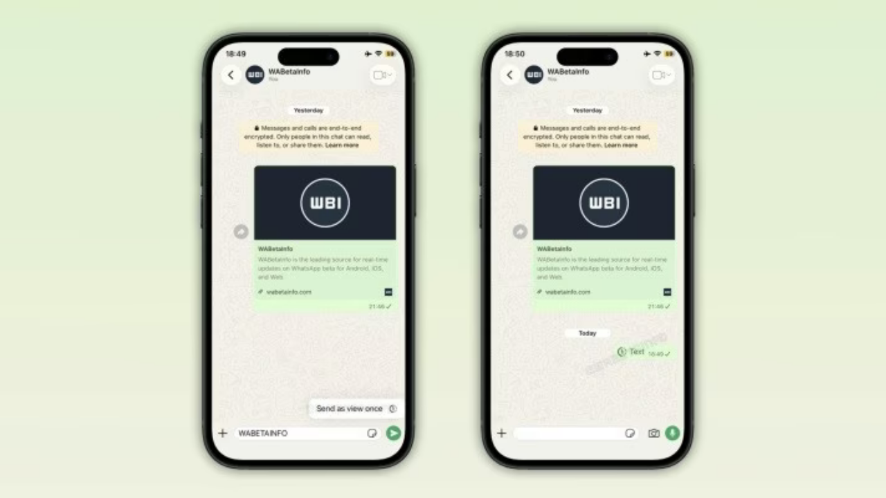 WhatsApp tek seferlik mesaj