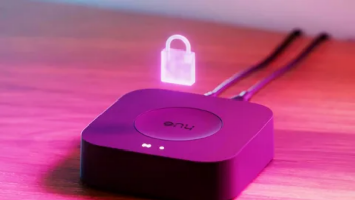 Philips Hue Bridge Pro Sorunu