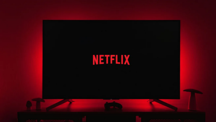 Netflix Profil Sistemi