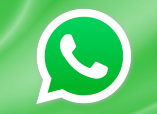 WhatsApp Hareketli Sohbet Temaları Geliştiriyor WhatsApp Android sohbet temaları